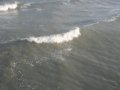 img_2460