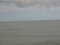 img_2462