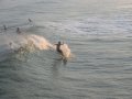 img_2474