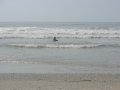 img_2497