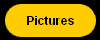 Pictures