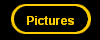 Pictures